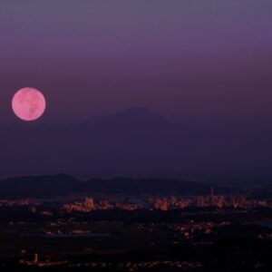 ピンクムーン