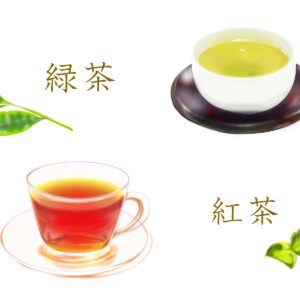 緑茶 紅茶