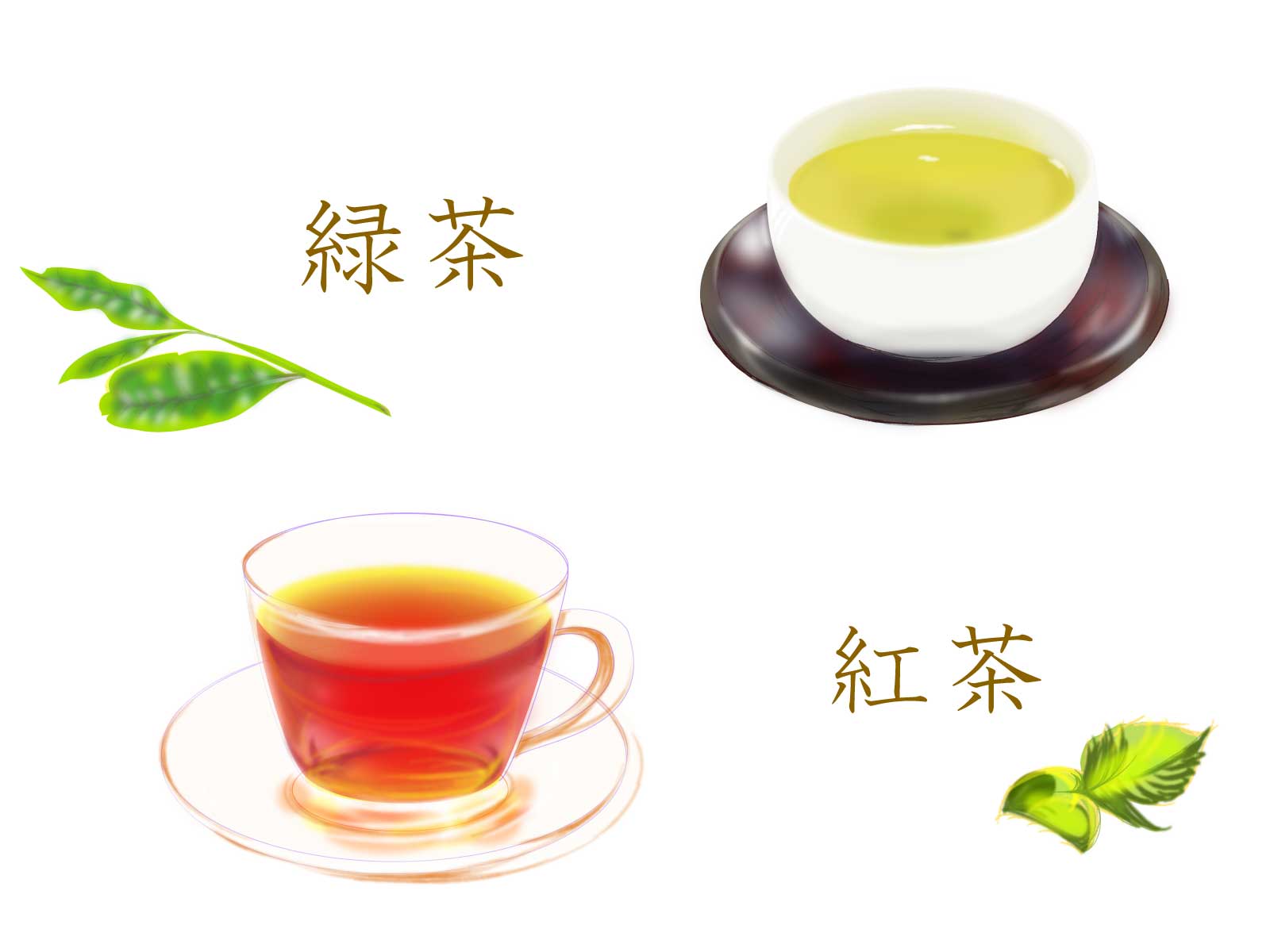 緑茶 紅茶